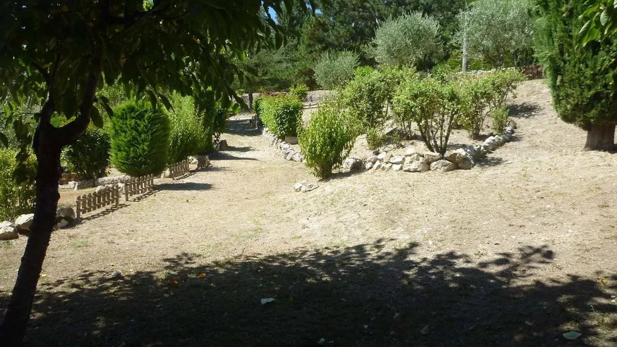 Photo 31