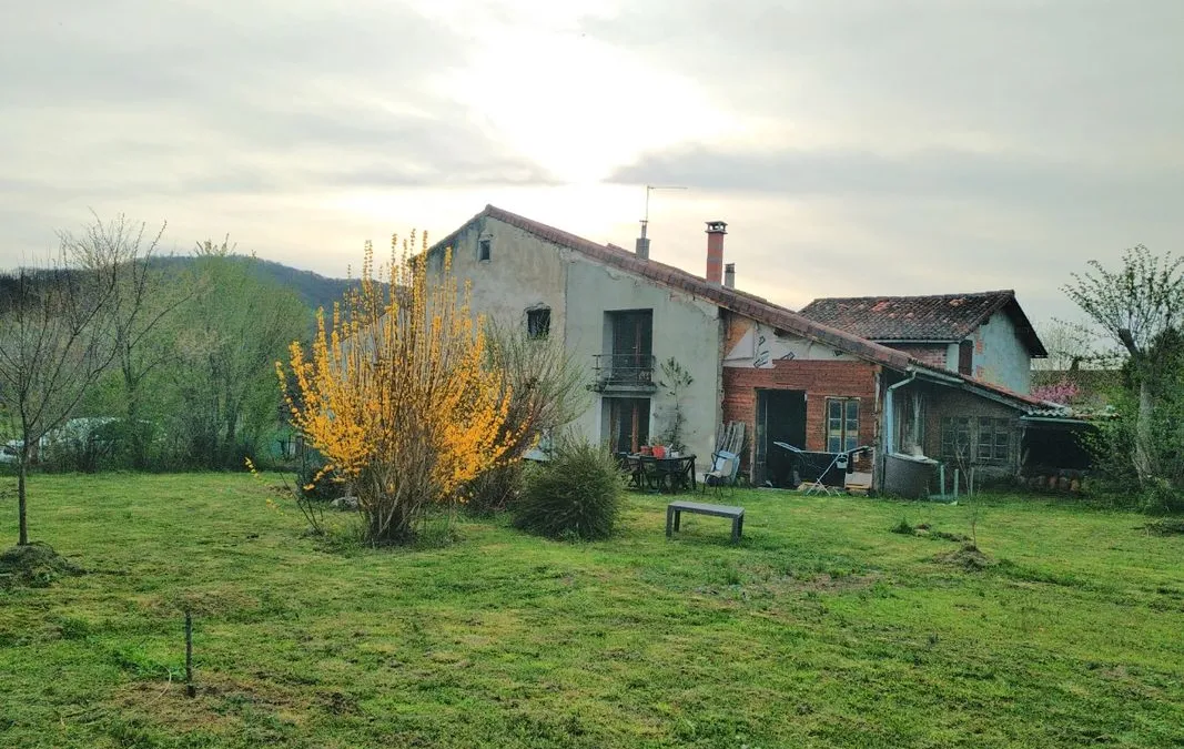 Photo 1