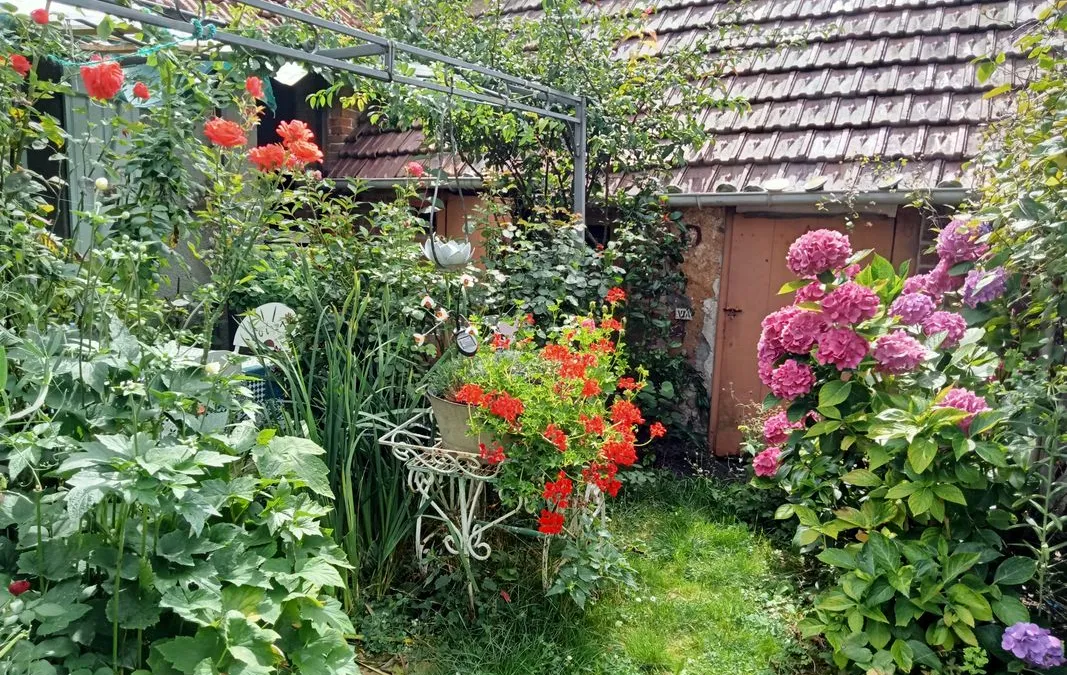 Photo 1