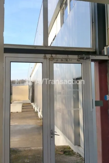 Photo 10