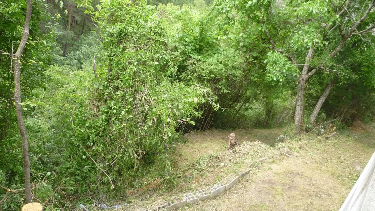 Photo 22