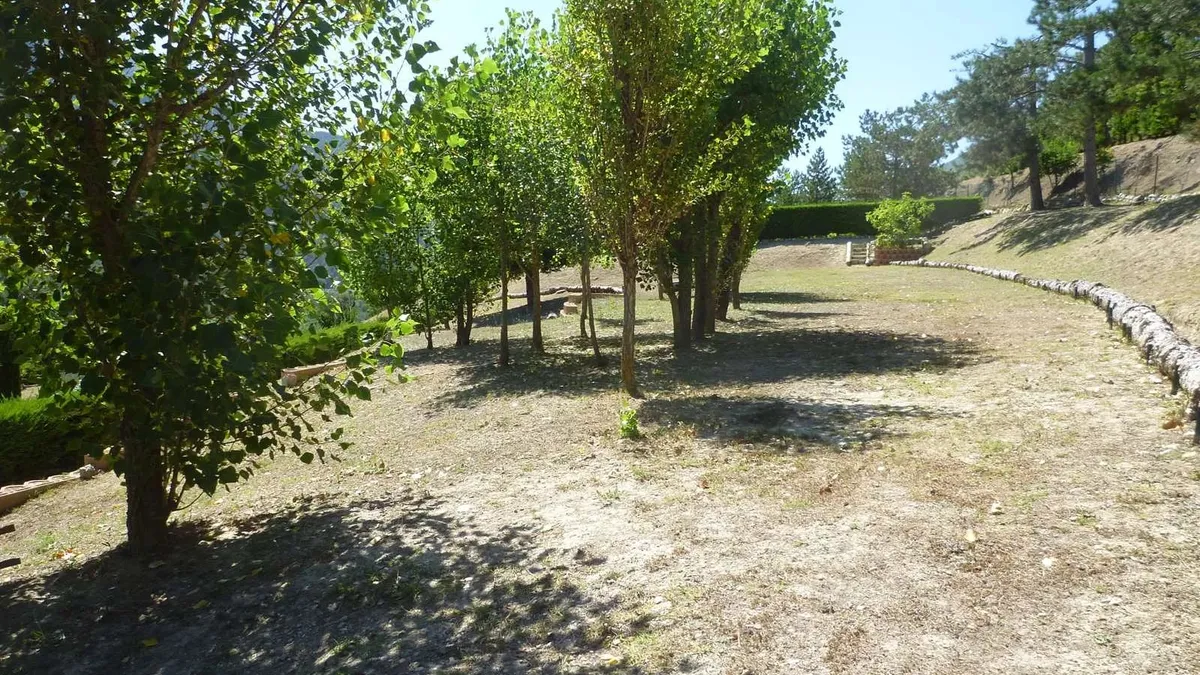 Photo 30