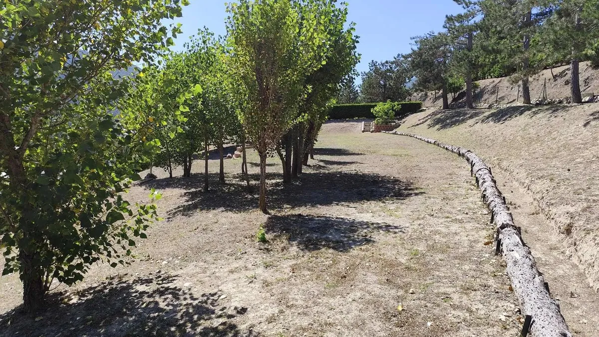 Photo 11