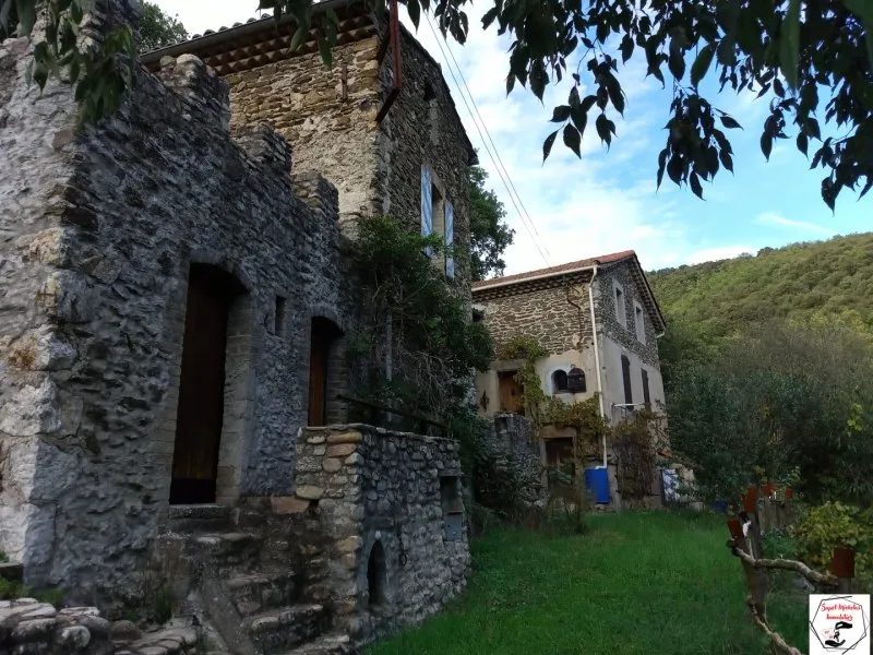 Photo 13