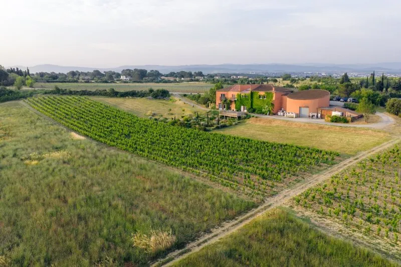 Photo 5