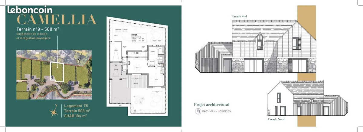 Photo 1