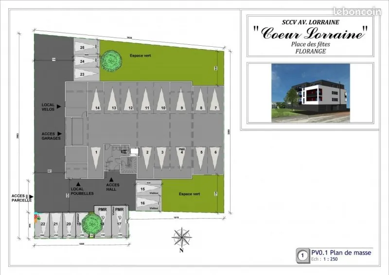 Photo 5