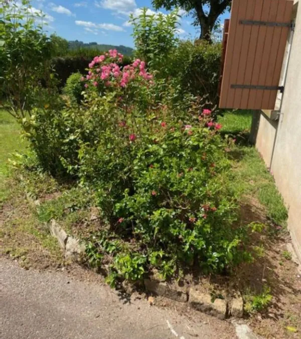 Photo 21