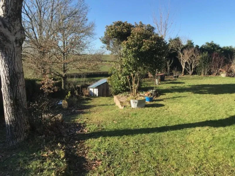 Photo 19