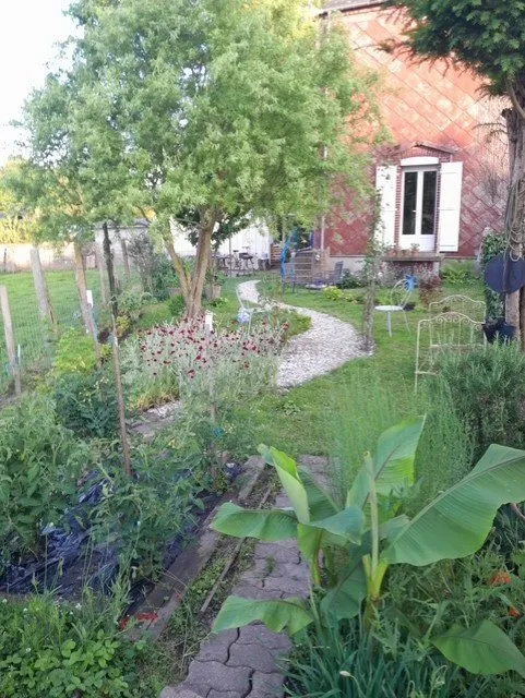 Photo 17