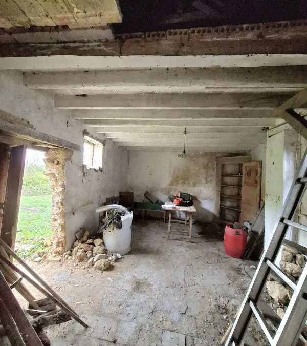 Photo 13