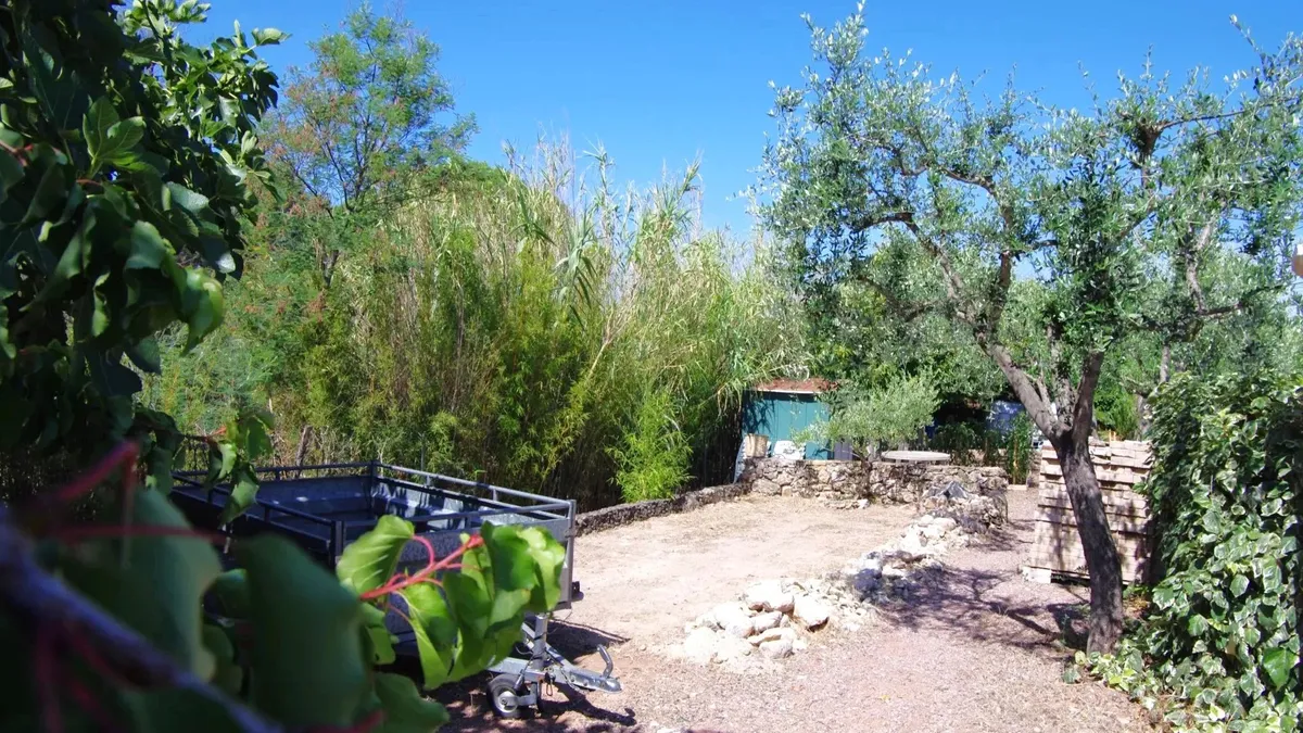 Photo 21