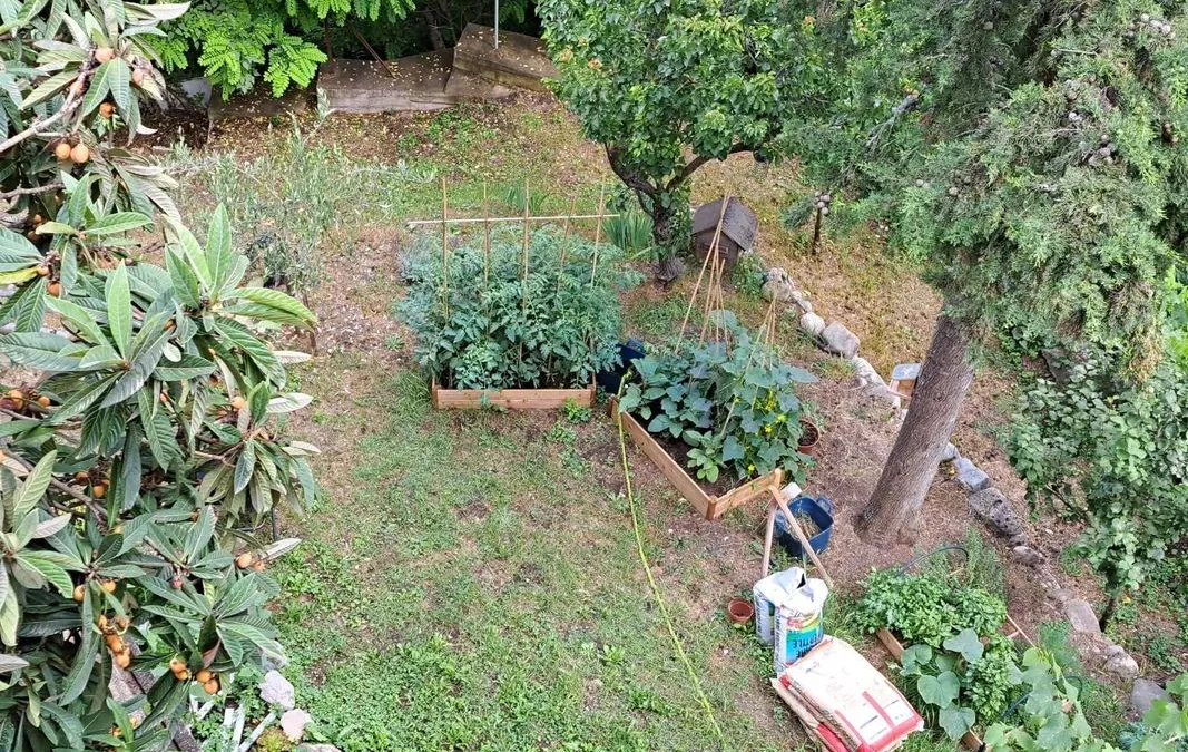 Photo 1