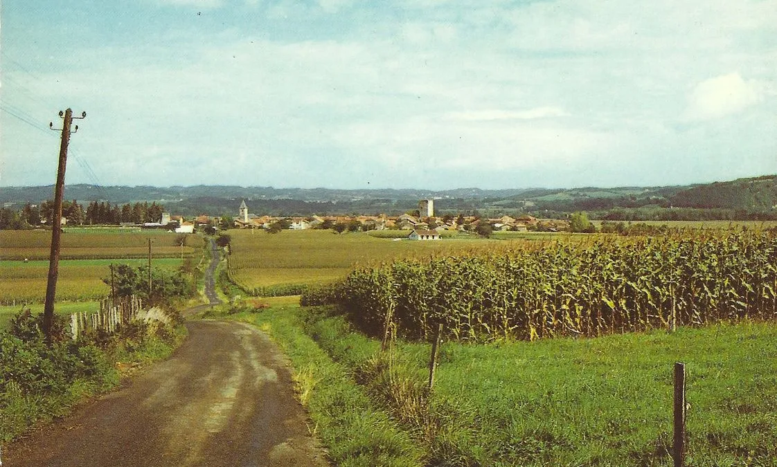 Photo 1