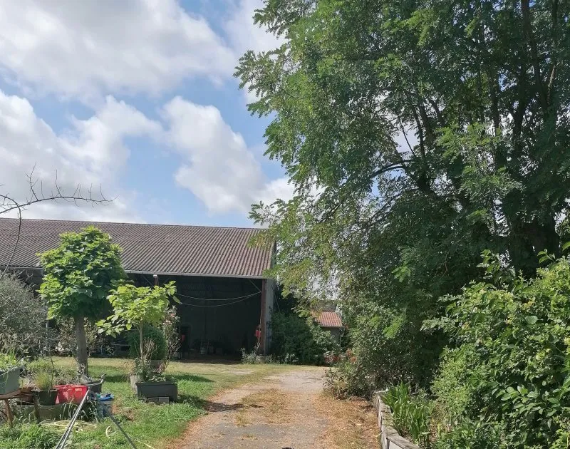 Photo 6