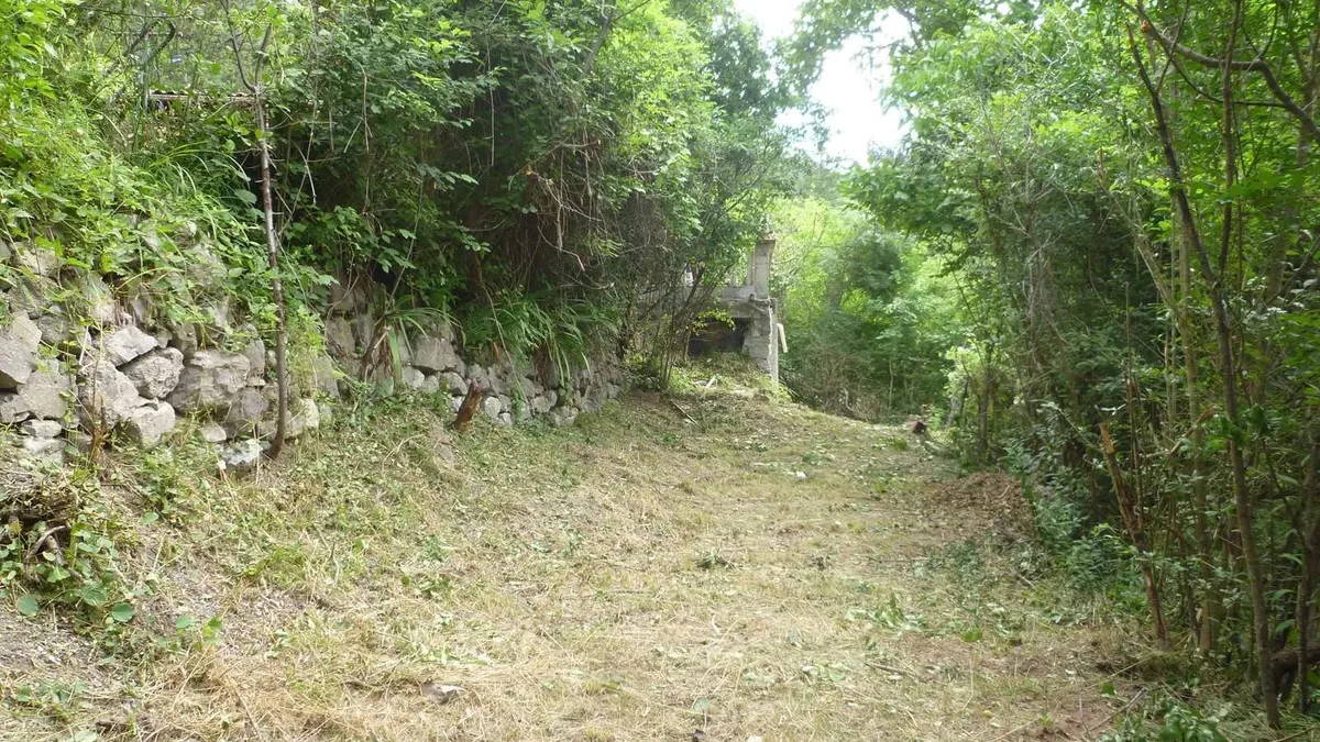 Photo 23