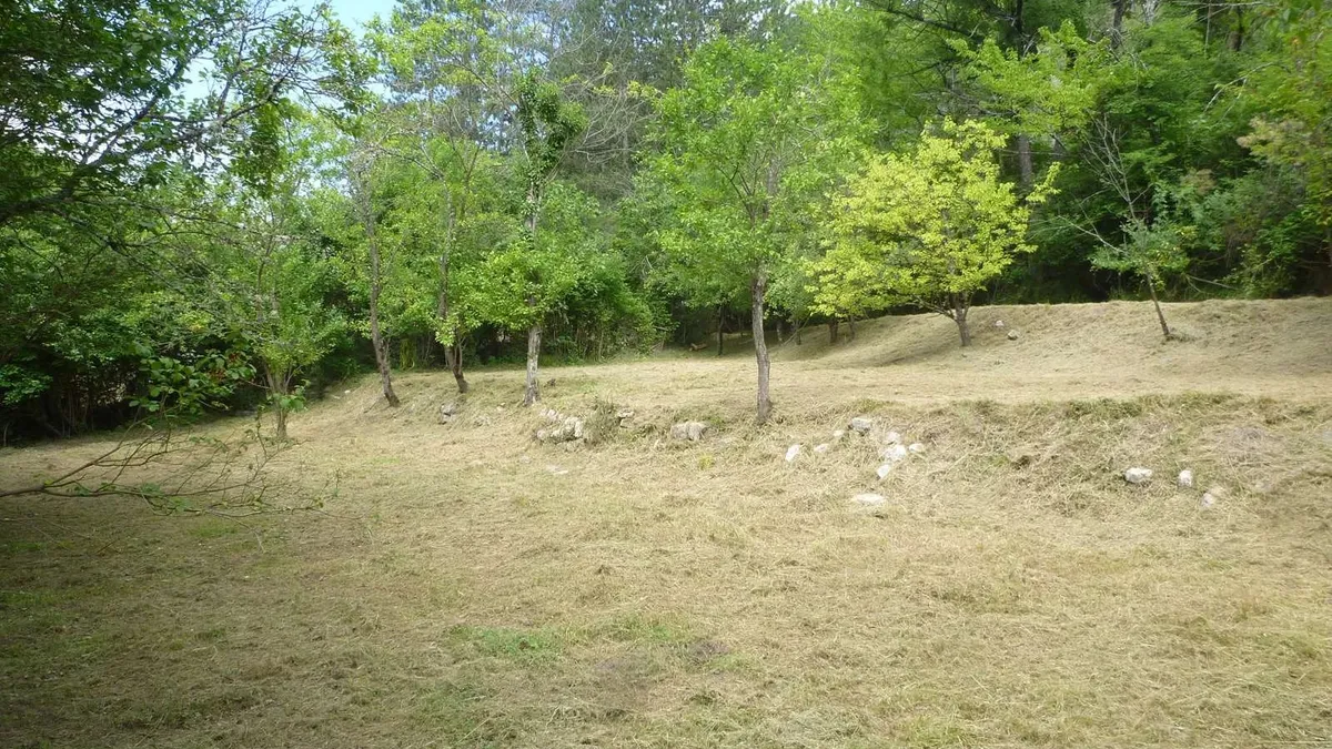 Photo 4