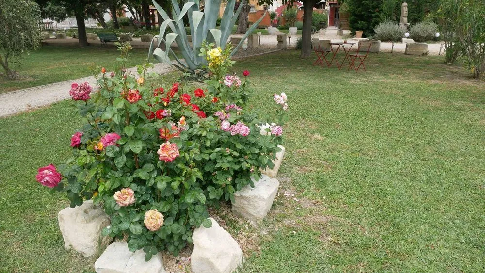 Photo 1