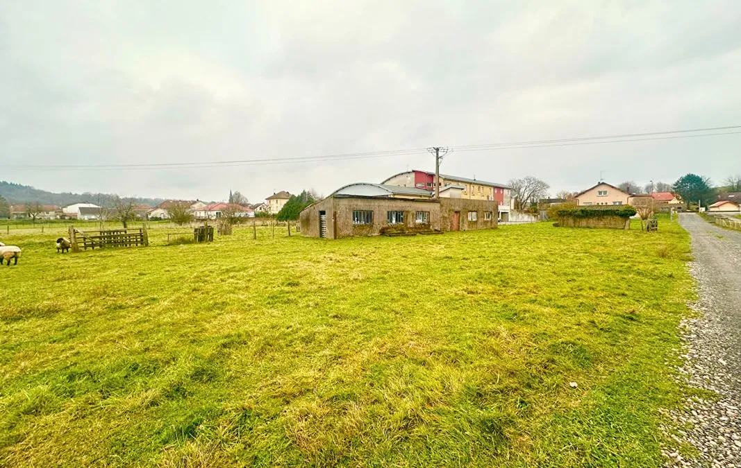 Photo 1