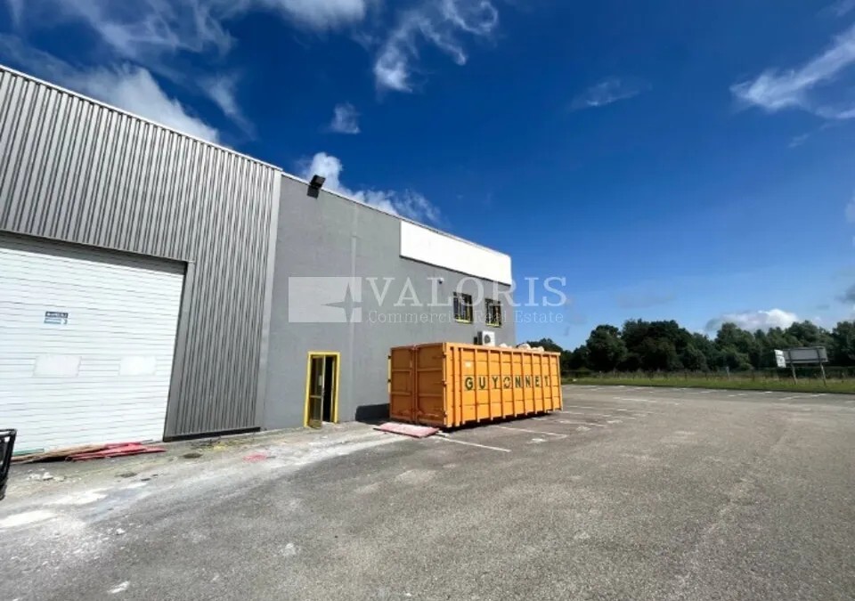 Photo 1