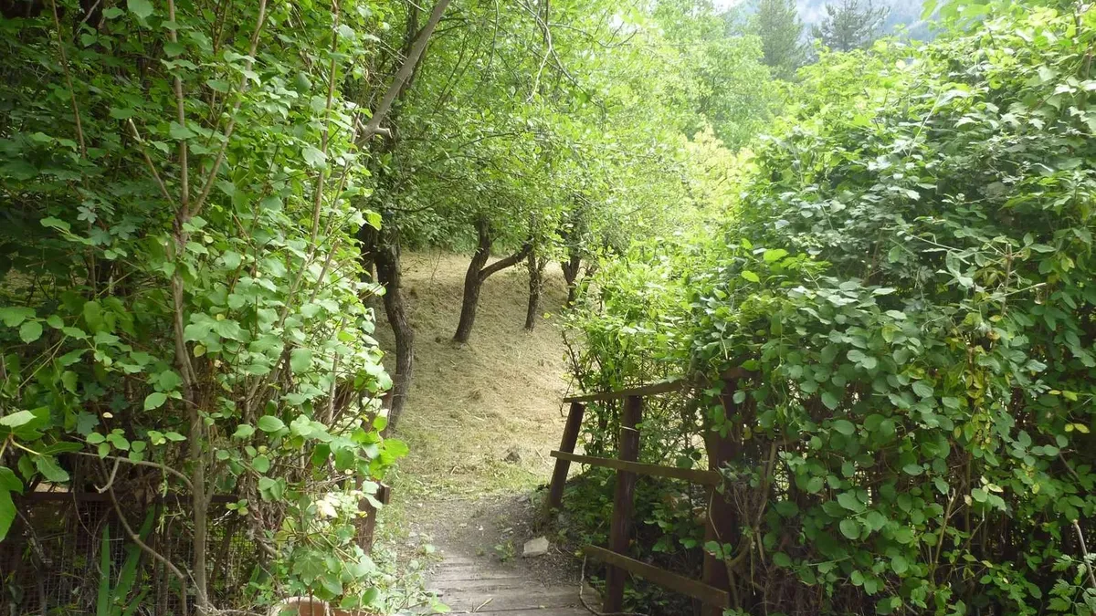 Photo 8