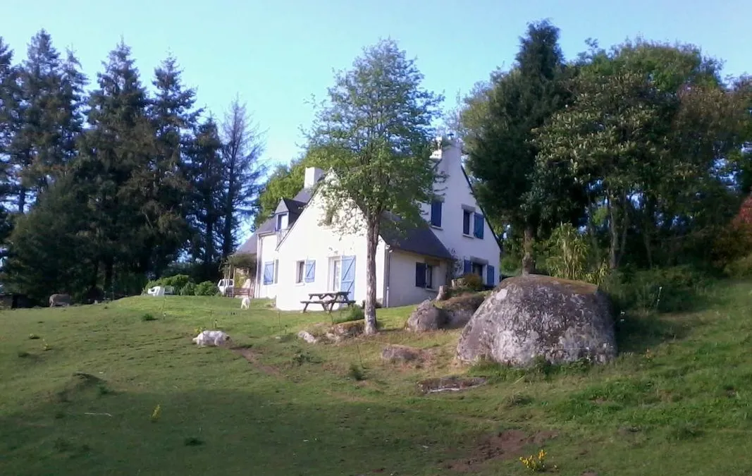 Photo 1