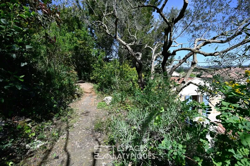 Photo 10