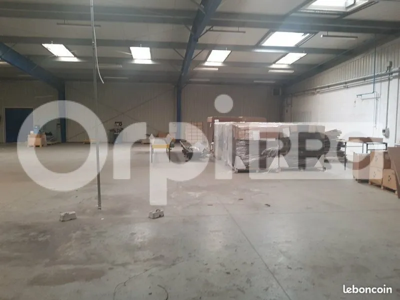 Photo 3