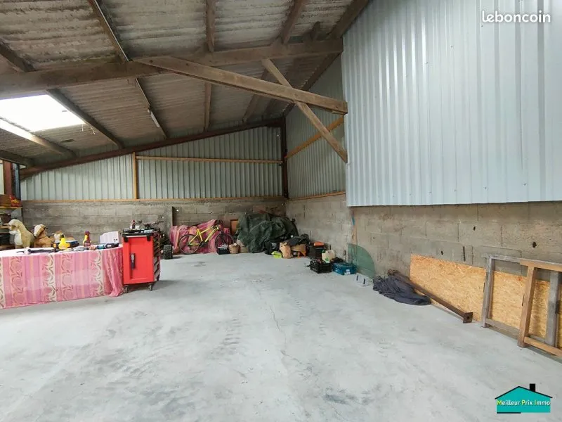 Photo 7