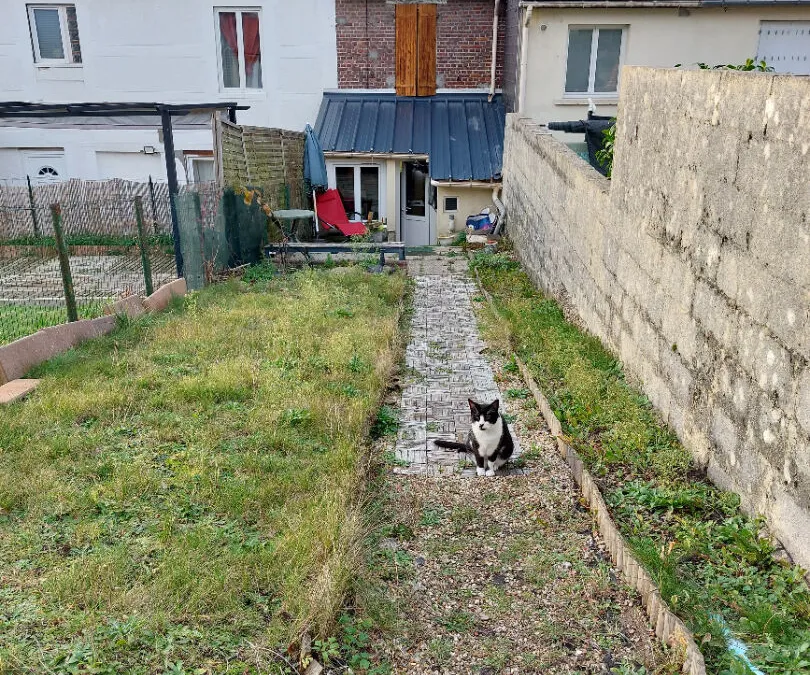 Photo 1