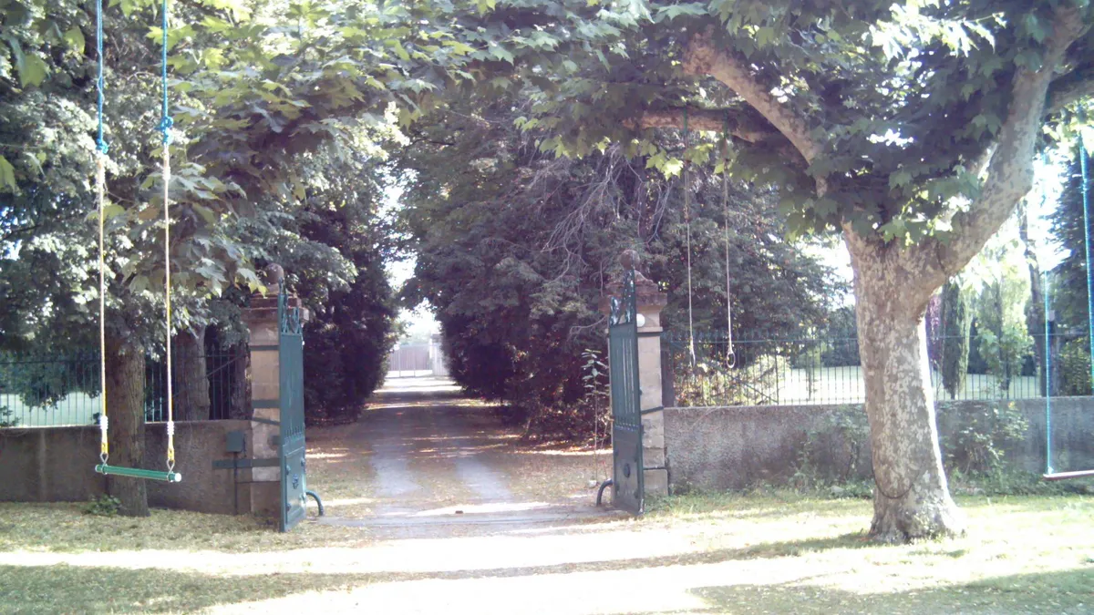 Photo 4