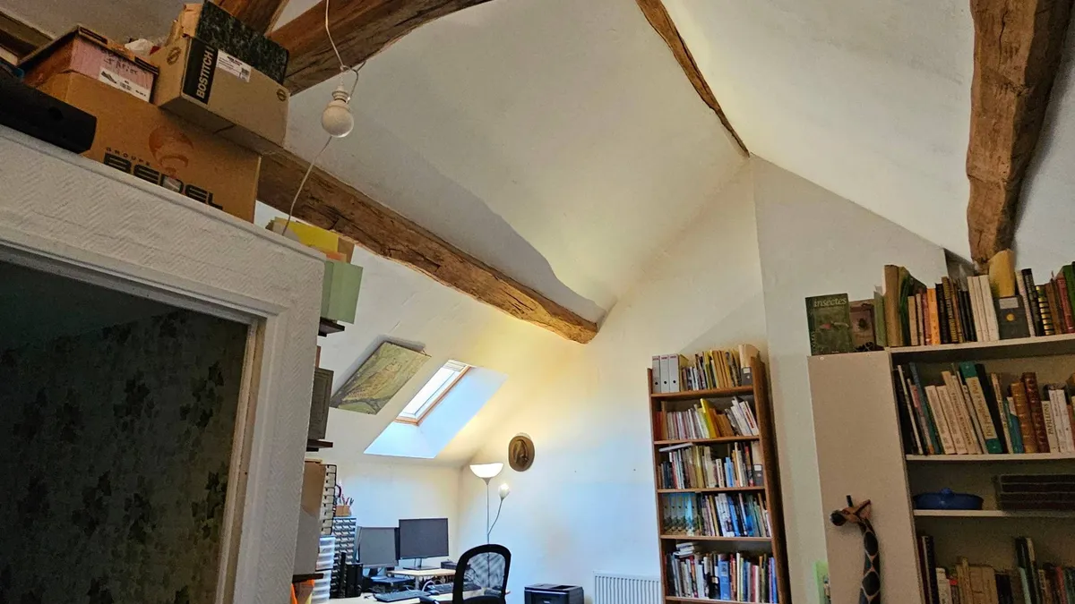 Photo 7