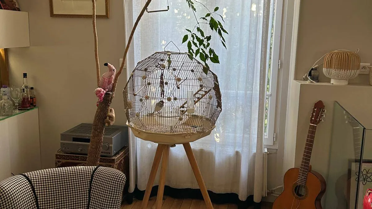 Photo 4