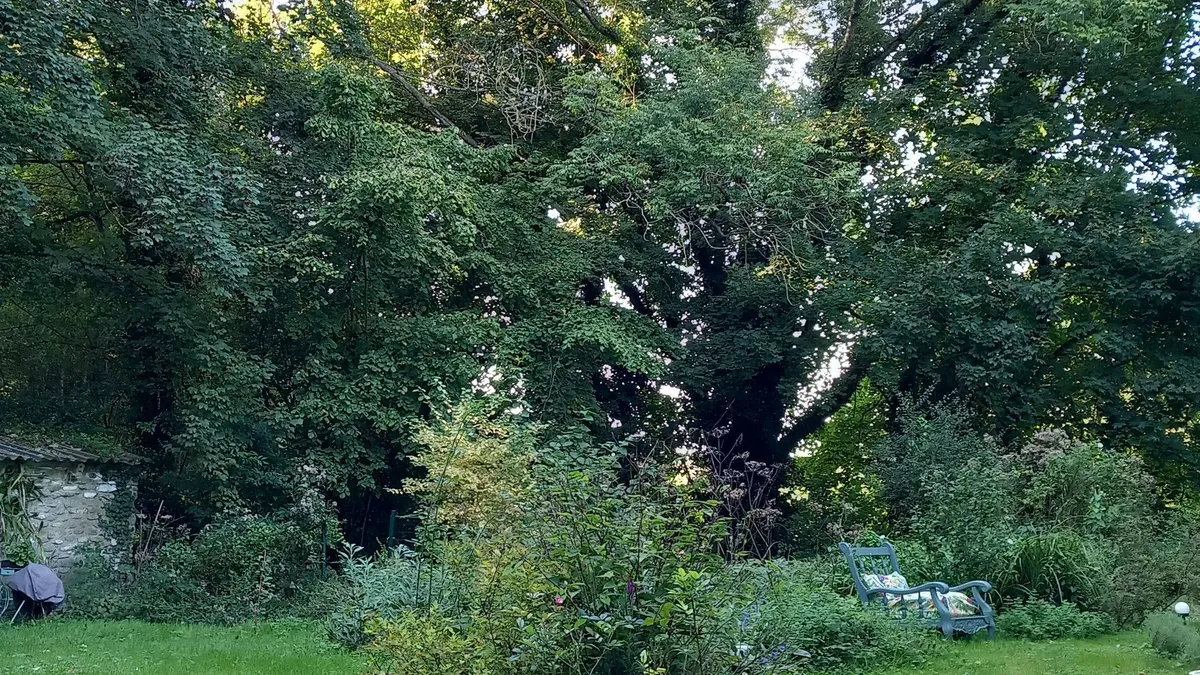 Photo 5