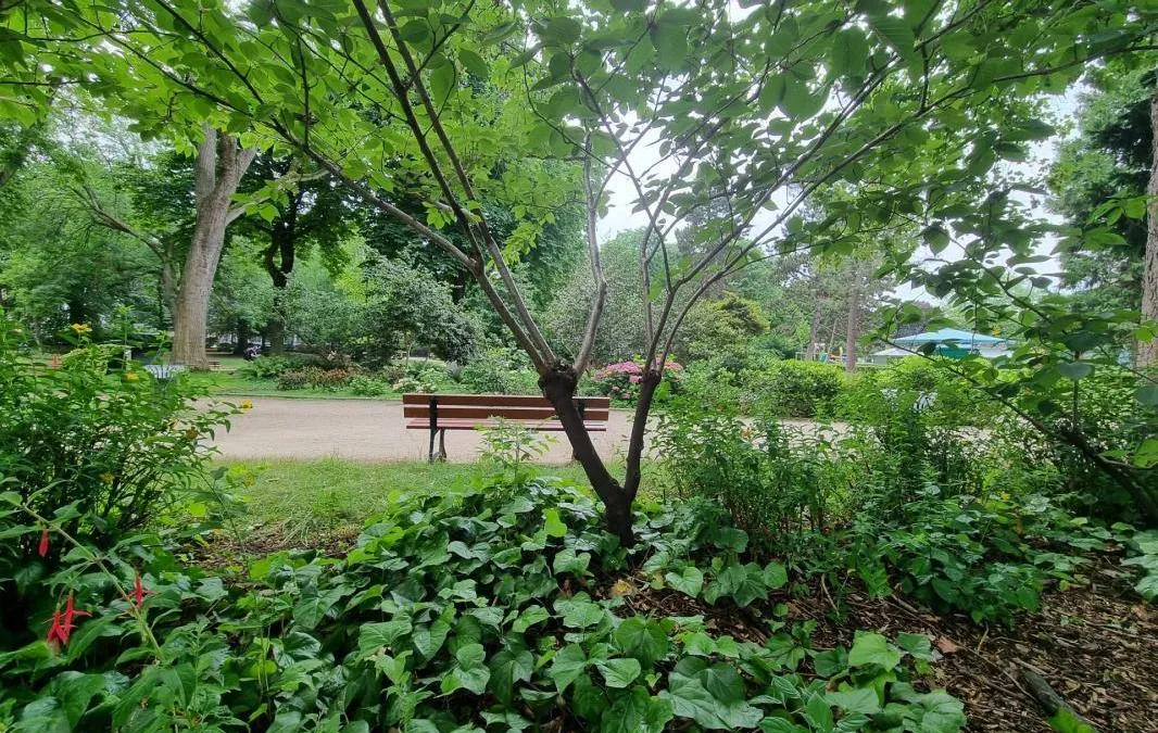 Photo 12
