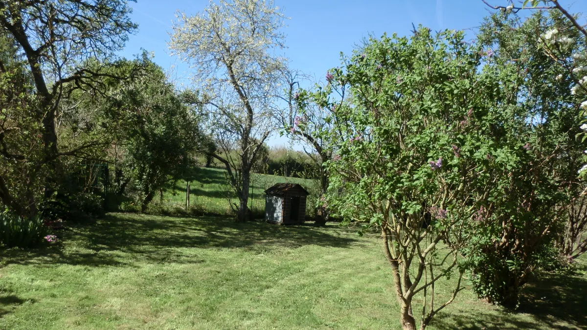 Photo 5
