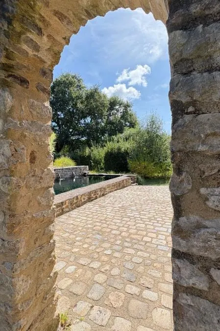 Photo 4