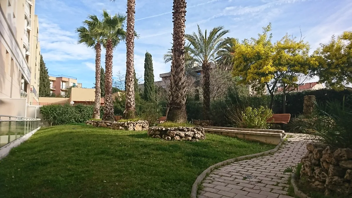 Photo 8