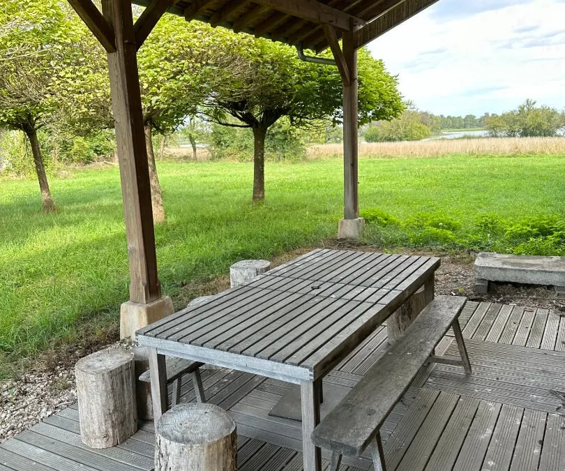 Photo 7