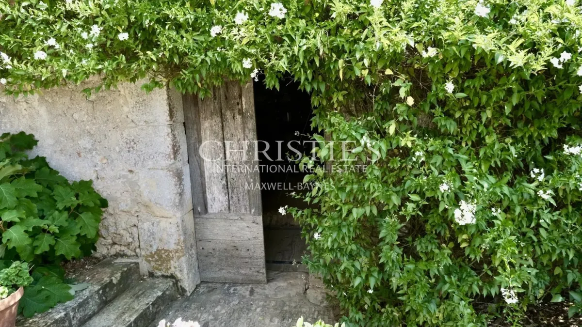 Photo 24