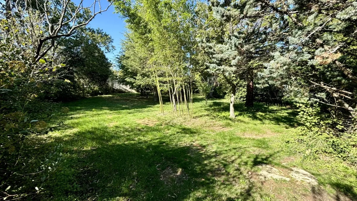 Photo 30