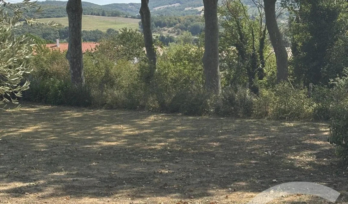 Photo 36