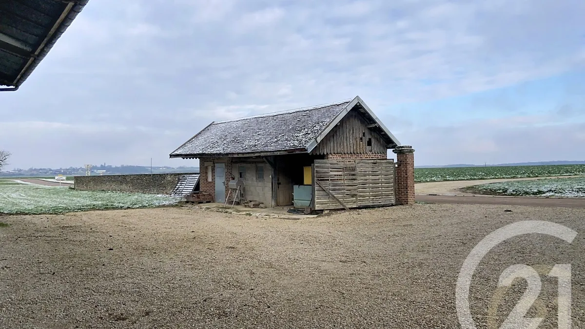 Photo 31
