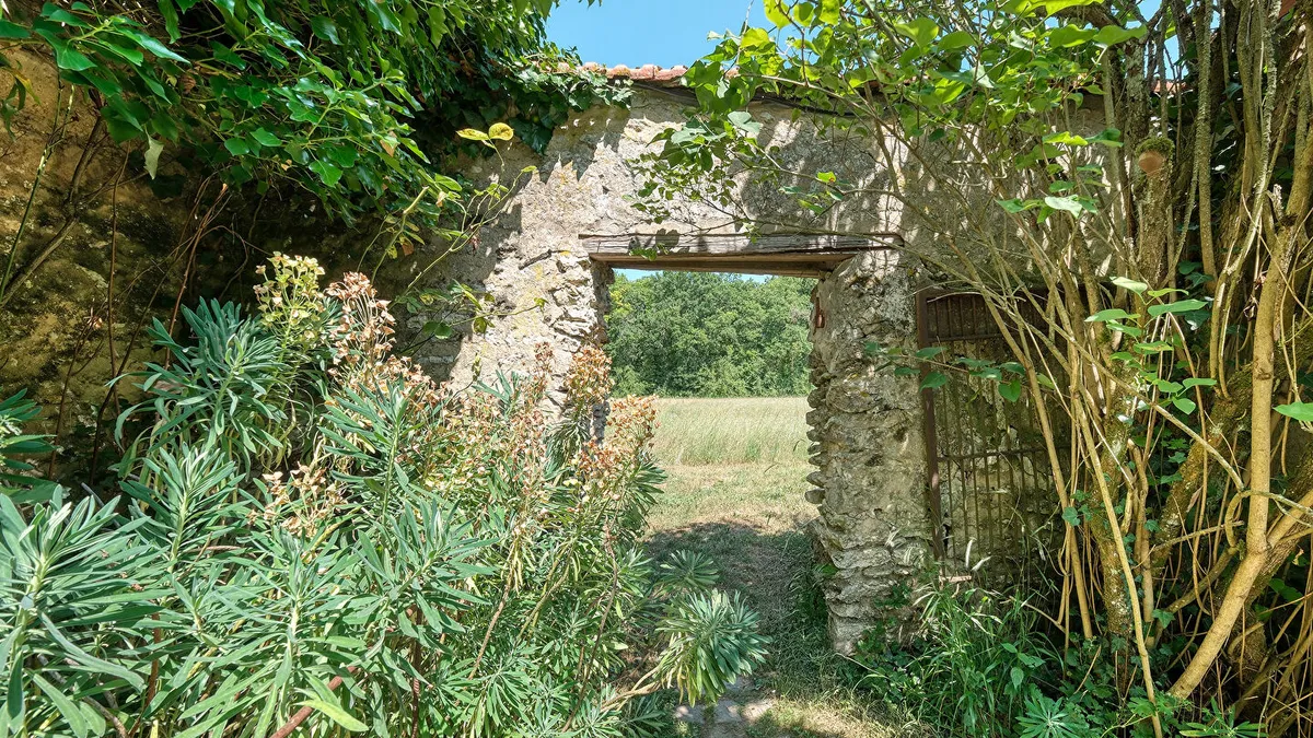 Photo 20