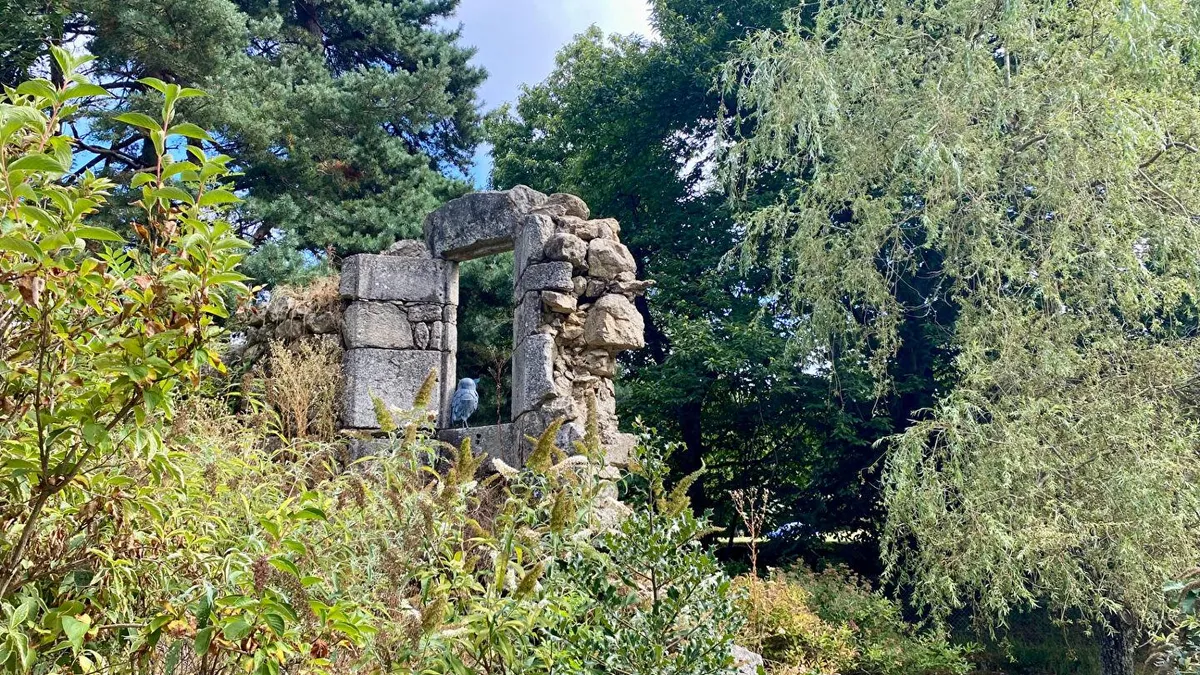Photo 5