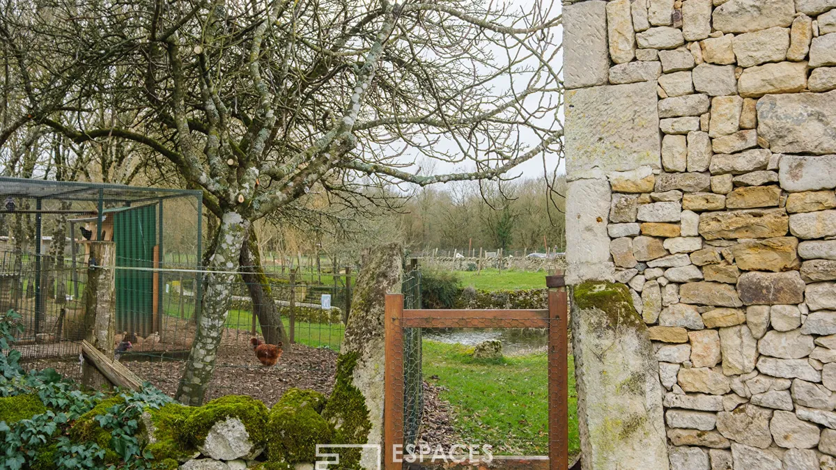 Photo 6