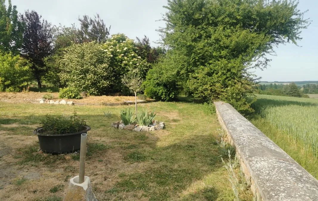 Photo 13