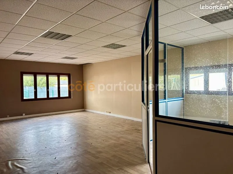 Photo 5
