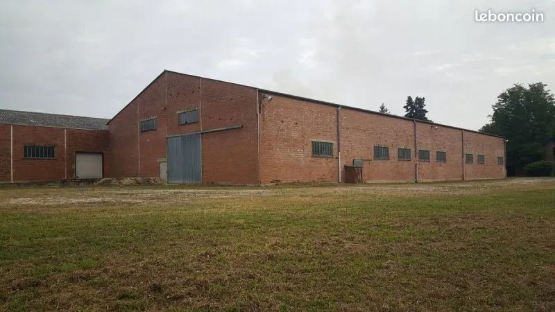 Photo 1