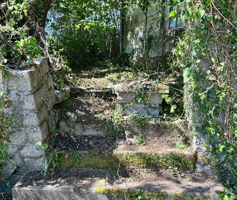 Photo 5